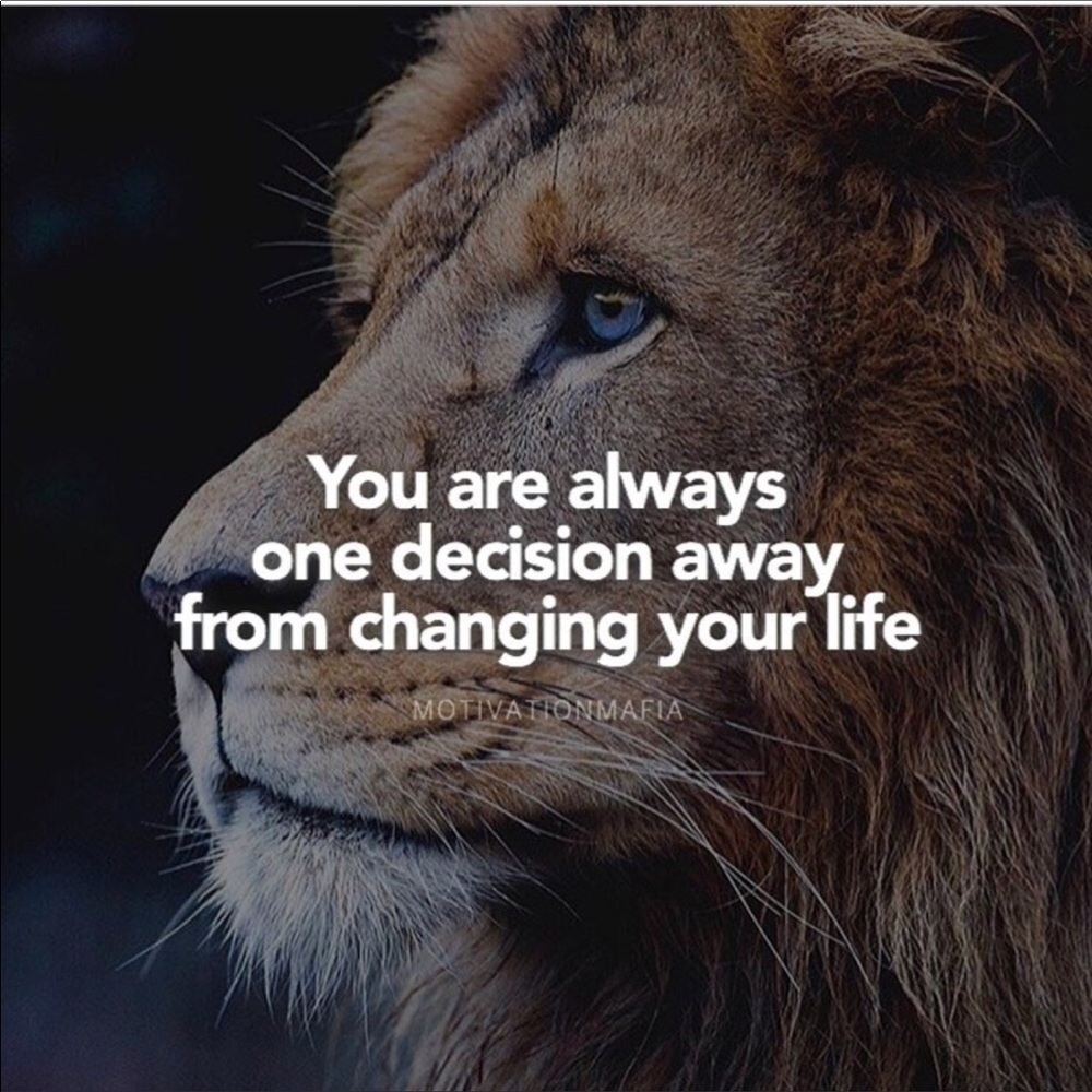 Boss Tips🦁From a Lion - Picture 2 of 16